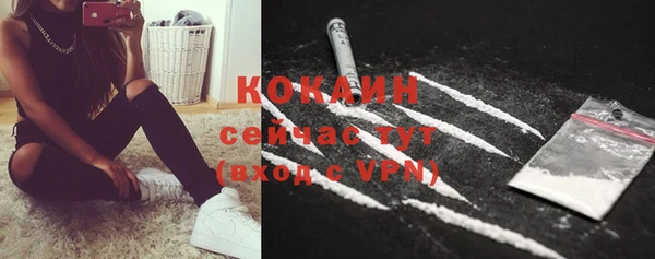 сатива Вязники