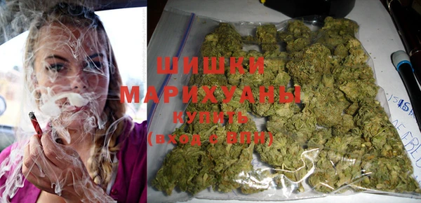 сатива Вязники