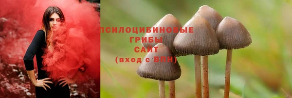 трава Вязьма