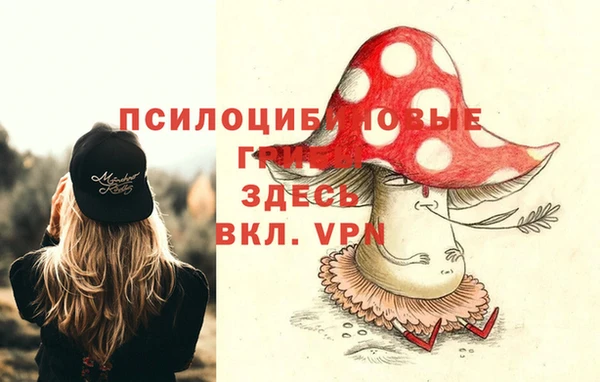 сатива Вязники