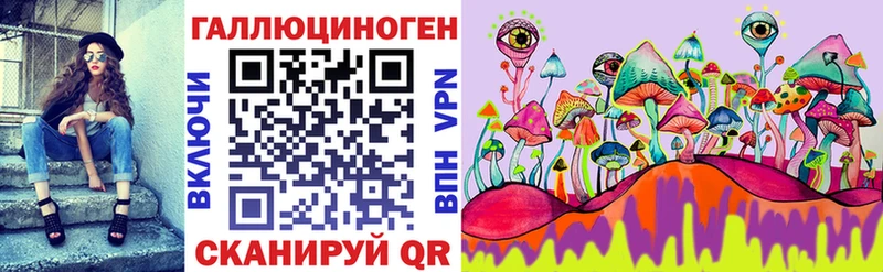 Купить где  Буй  Галлюциногенные грибы GOLDEN TEACHER 